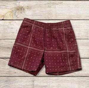 Bandana Printed PacSun Shorts